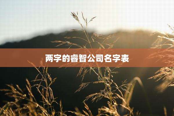 两字的睿智公司名字表