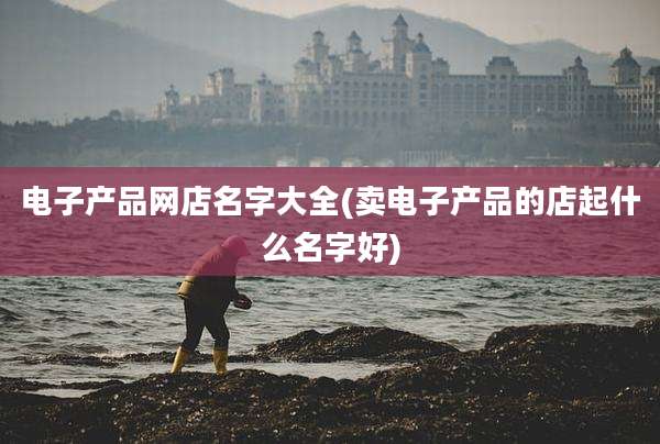电子产品网店名字大全(卖电子产品的店起什么名字好)