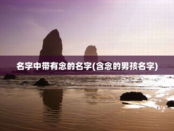 名字中带有念的名字(含念的男孩名字)