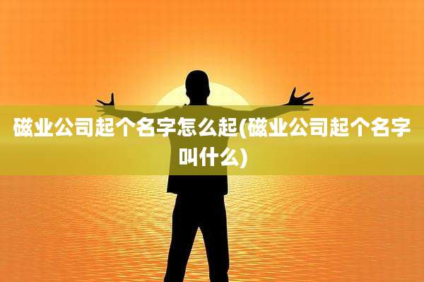 磁业公司起个名字怎么起(磁业公司起个名字叫什么)