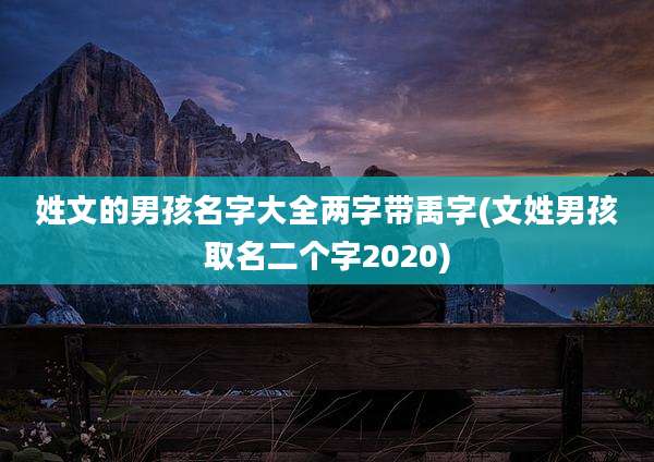 姓文的男孩名字大全两字带禹字(文姓男孩取名二个字2020)
