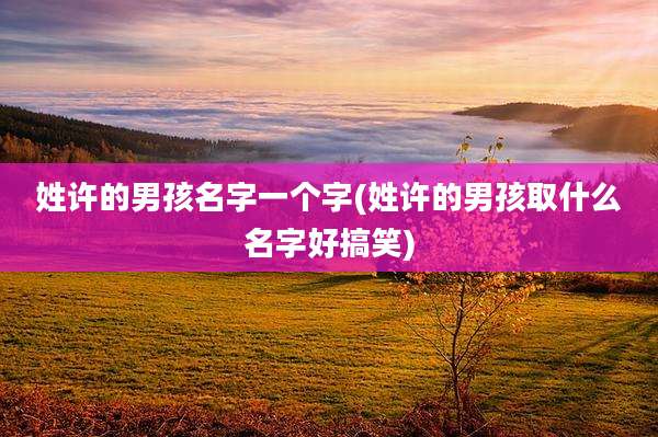 姓许的男孩名字一个字(姓许的男孩取什么名字好搞笑)