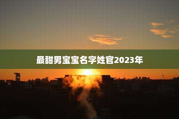 最甜男宝宝名字姓官2023年