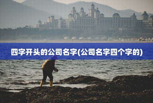 四字开头的公司名字(公司名字四个字的)