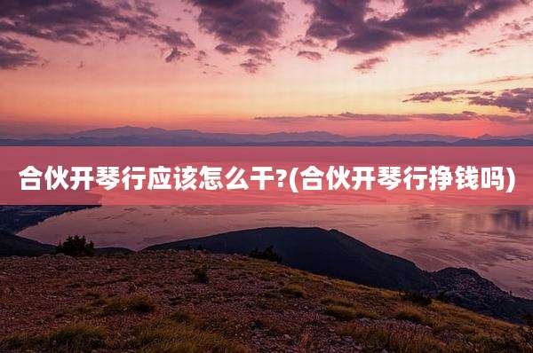 合伙开琴行应该怎么干?(合伙开琴行挣钱吗)