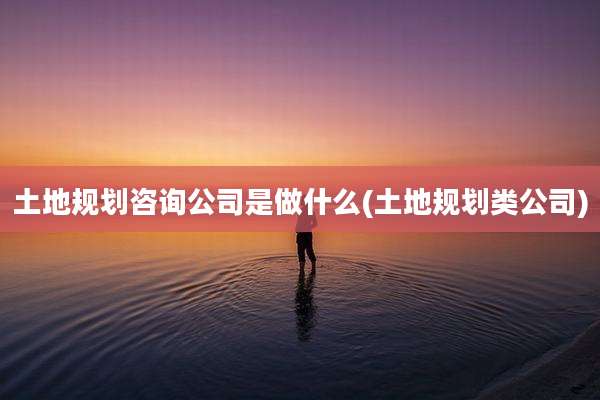 土地规划咨询公司是做什么(土地规划类公司)