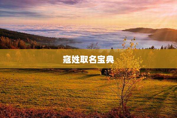 寇姓取名宝典