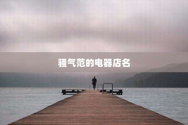 骚气范的电器店名