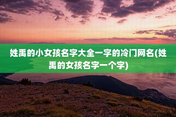 姓禹的小女孩名字大全一字的冷门网名(姓禹的女孩名字一个字)