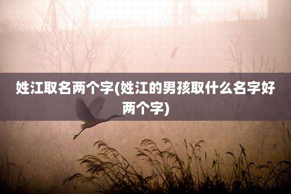 姓江取名两个字(姓江的男孩取什么名字好两个字)