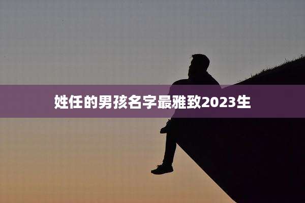 姓任的男孩名字最雅致2023生