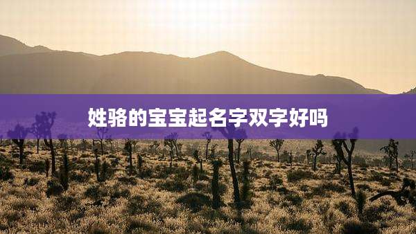 姓骆的宝宝起名字双字好吗