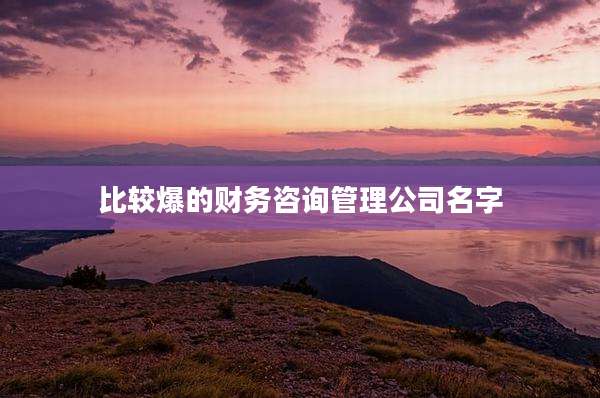 比较爆的财务咨询管理公司名字