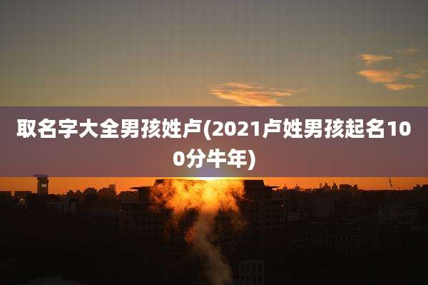 取名字大全男孩姓卢(2021卢姓男孩起名100分牛年)