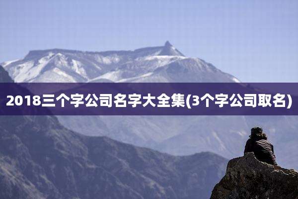 2018三个字公司名字大全集(3个字公司取名)