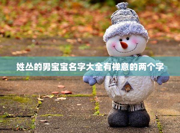 姓丛的男宝宝名字大全有禅意的两个字