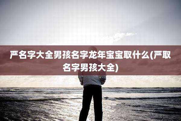 严名字大全男孩名字龙年宝宝取什么(严取名字男孩大全)