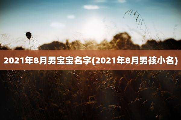 2021年8月男宝宝名字(2021年8月男孩小名)