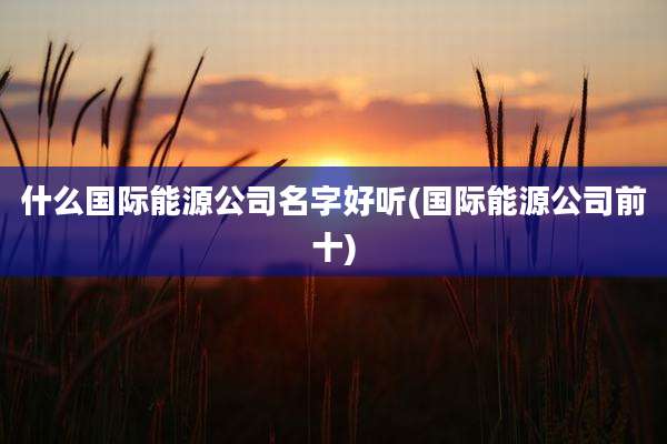 什么国际能源公司名字好听(国际能源公司前十)