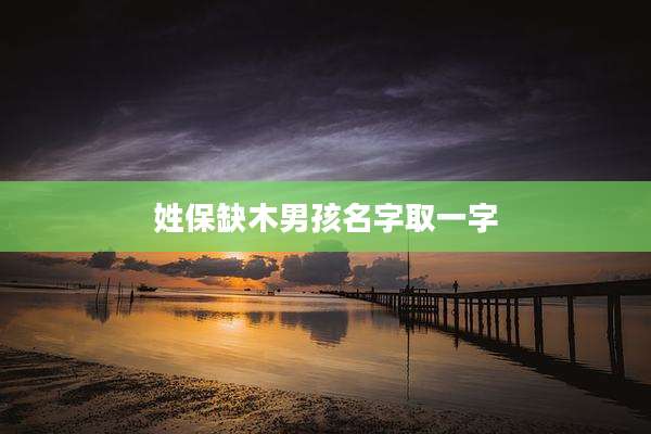 姓保缺木男孩名字取一字