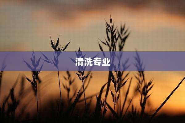 清洗专业