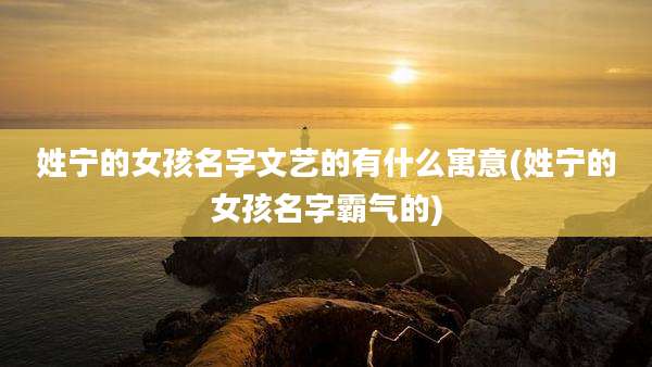 姓宁的女孩名字文艺的有什么寓意(姓宁的女孩名字霸气的)