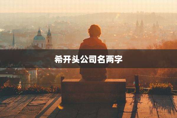 希开头公司名两字