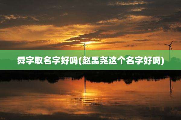 舜字取名字好吗(赵禹尧这个名字好吗)