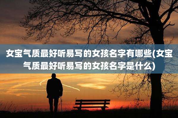 女宝气质最好听易写的女孩名字有哪些(女宝气质最好听易写的女孩名字是什么)
