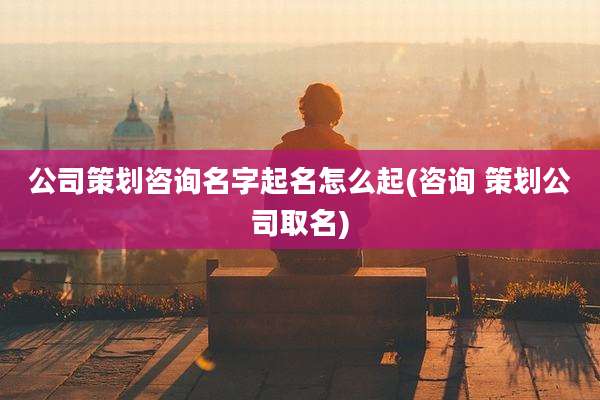 公司策划咨询名字起名怎么起(咨询 策划公司取名)