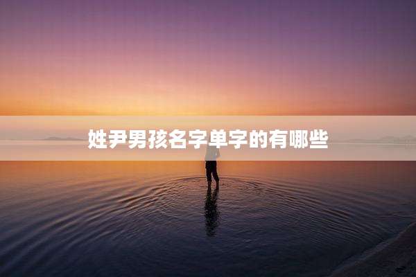 姓尹男孩名字单字的有哪些