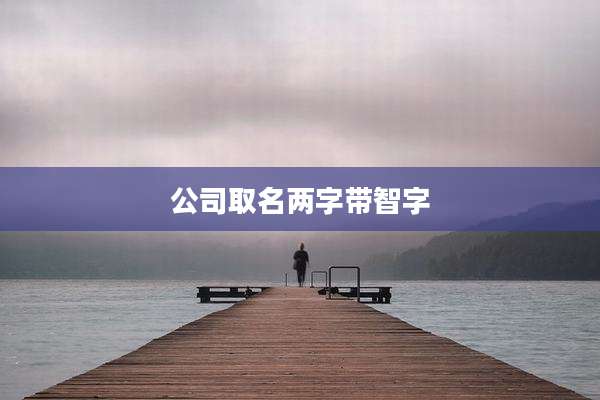 公司取名两字带智字
