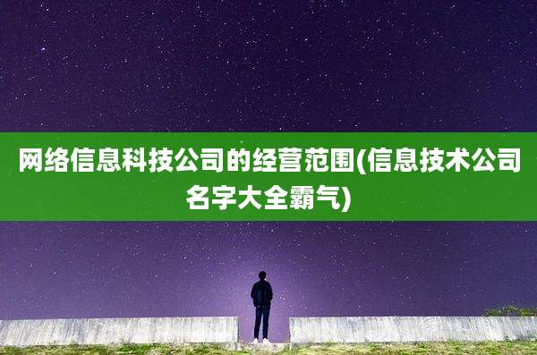 网络信息科技公司的经营范围(信息技术公司名字大全霸气)