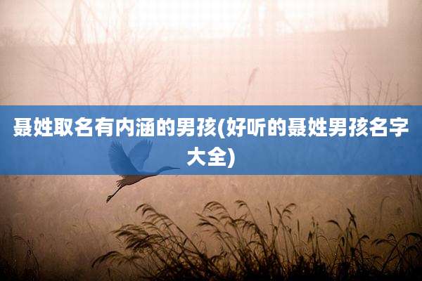 聂姓取名有内涵的男孩(好听的聂姓男孩名字大全)