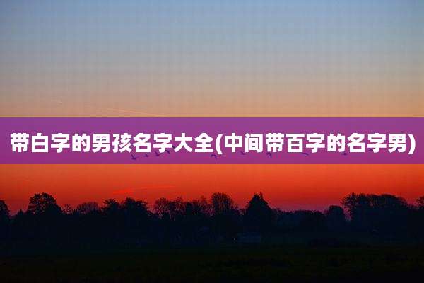 带白字的男孩名字大全(中间带百字的名字男)