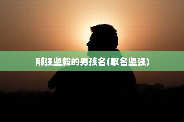 刚强坚毅的男孩名(取名坚强)