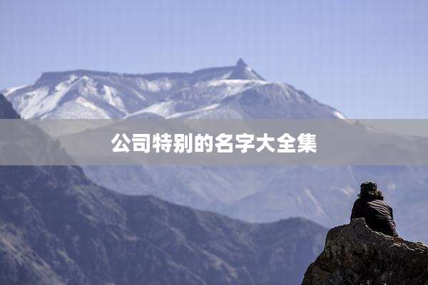 公司特别的名字大全集