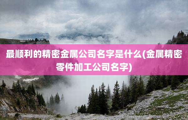 最顺利的精密金属公司名字是什么(金属精密零件加工公司名字)