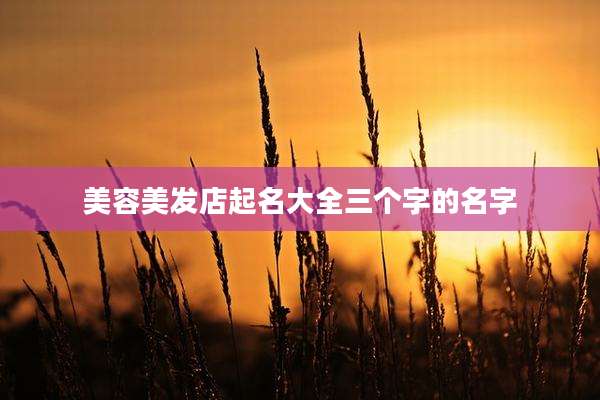 美容美发店起名大全三个字的名字