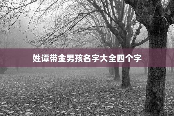 姓谭带金男孩名字大全四个字