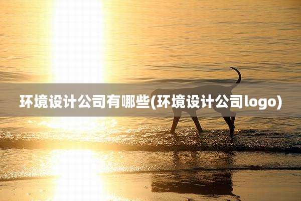 环境设计公司有哪些(环境设计公司logo)