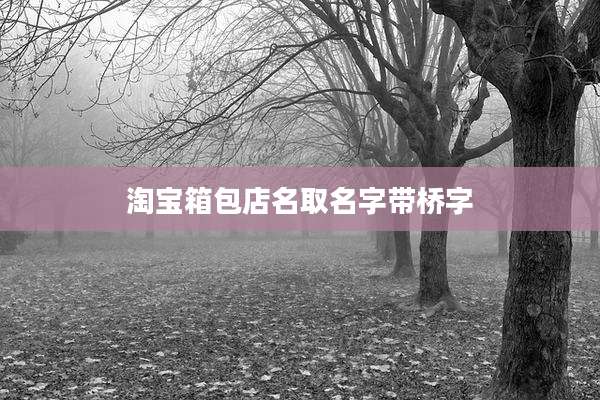 淘宝箱包店名取名字带桥字