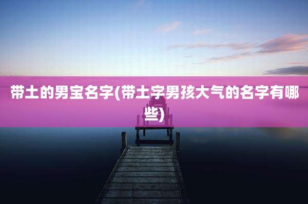 带土的男宝名字(带土字男孩大气的名字有哪些)