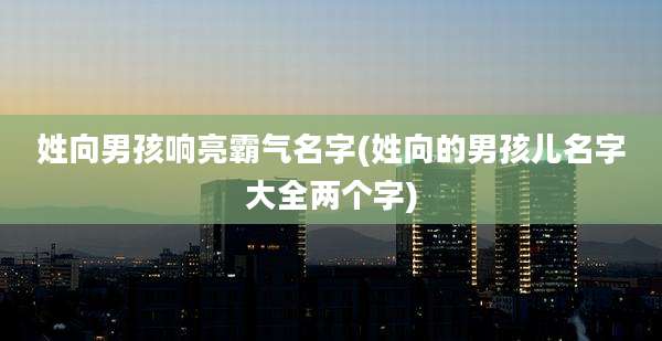 姓向男孩响亮霸气名字(姓向的男孩儿名字大全两个字)