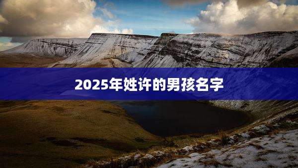 2025年姓许的男孩名字