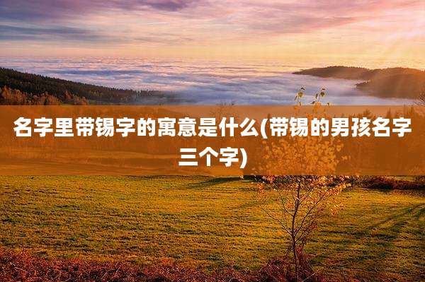名字里带锡字的寓意是什么(带锡的男孩名字三个字)