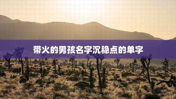 带火的男孩名字沉稳点的单字