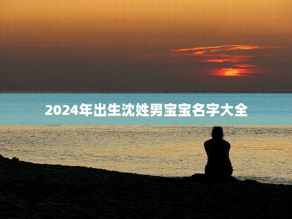 2024年出生沈姓男宝宝名字大全