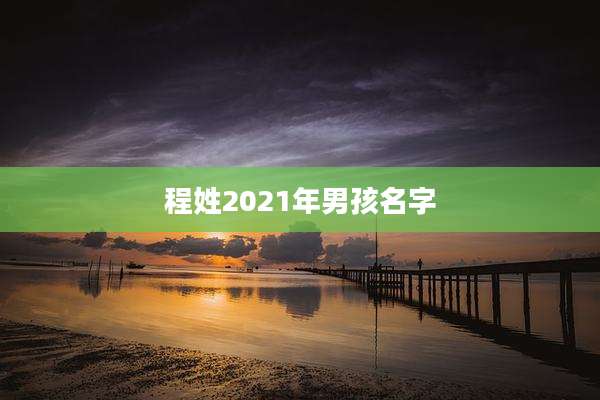 程姓2021年男孩名字