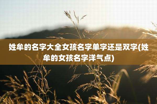 姓牟的名字大全女孩名字单字还是双字(姓牟的女孩名字洋气点)